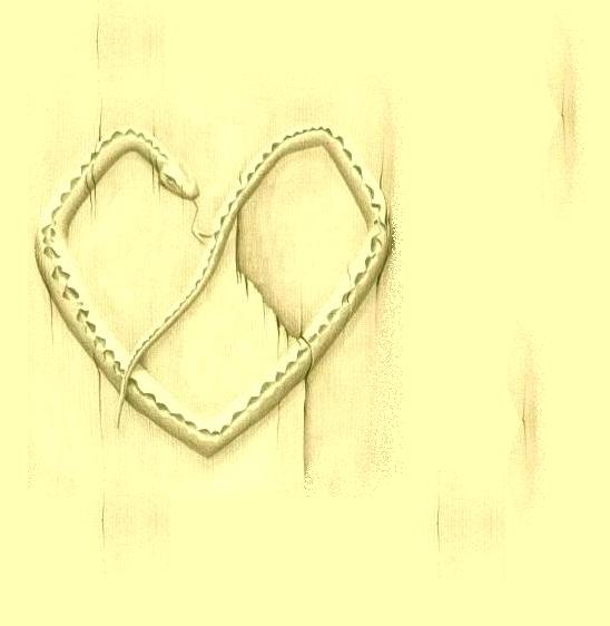 1344635404_img-563e77e0acfe7ef94ea8f94eb