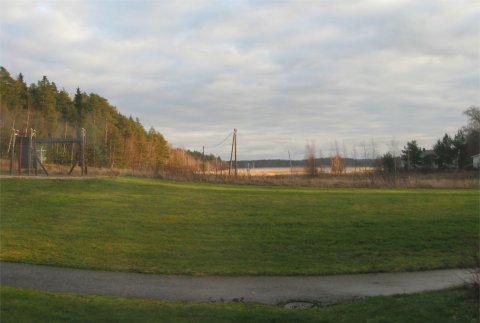 2154676.jpg