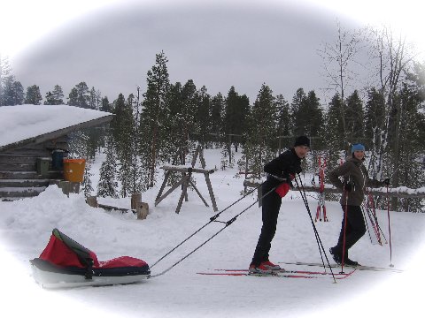 cross-country ski without