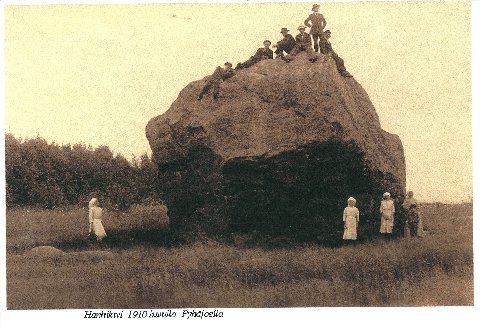 Hanhikivi Hanhikivi