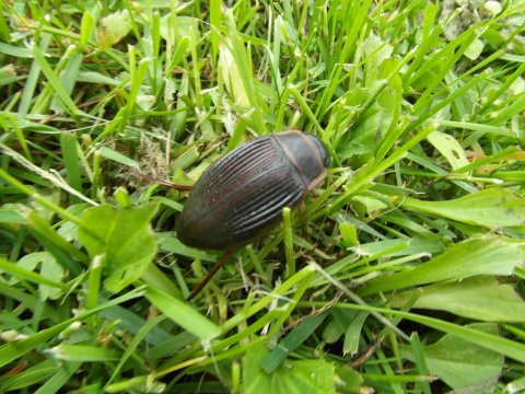 1343367067_img-54936062fbb4ed57faa98913f